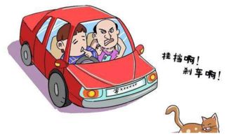 学员这样练车,真是所有教练的噩梦 驾校
